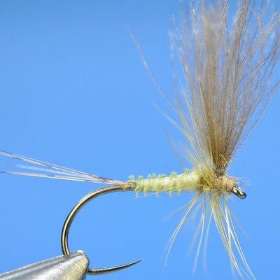 Dry Fly S20