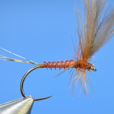 Dry Fly S22