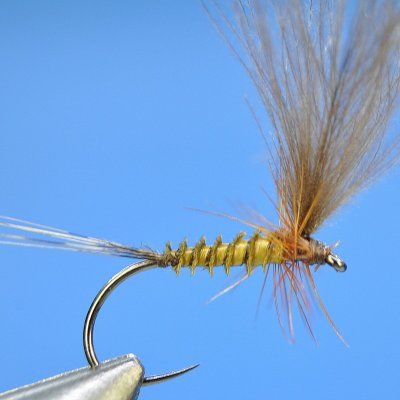 Dry Fly S24