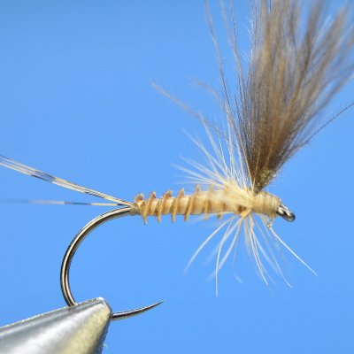 Dry Fly S25