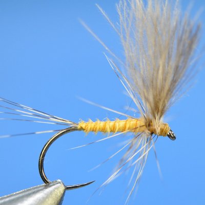 Dry Fly S26