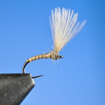 Dry Fly S128