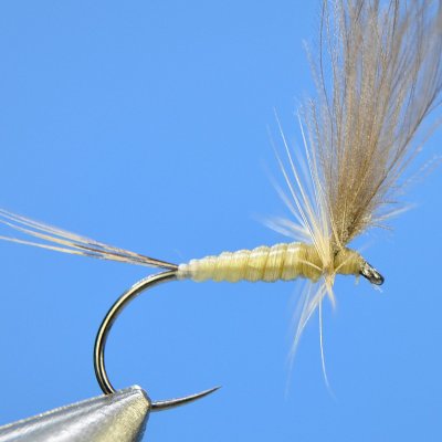 Dry Fly S30