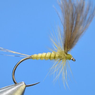 Dry Fly S34