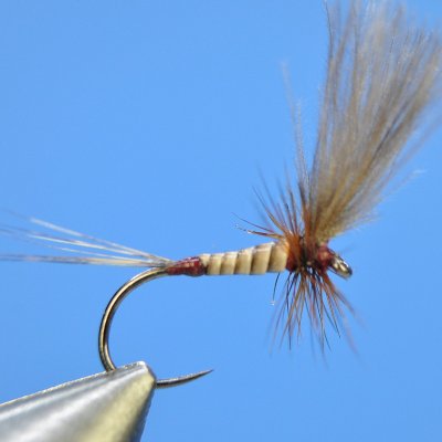 Dry Fly S41