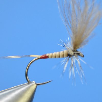 Dry fly S48