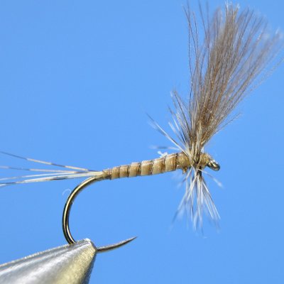 Dry fly S50