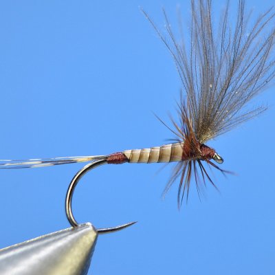 copy of Dry Fly S53