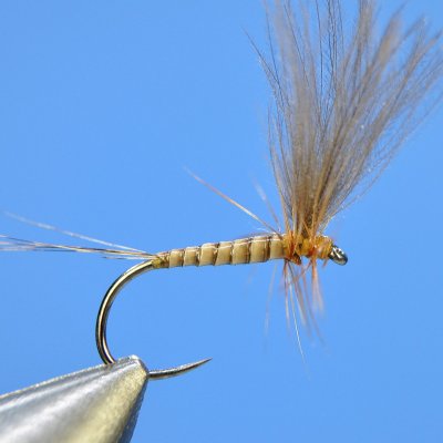 Dry Fly S58