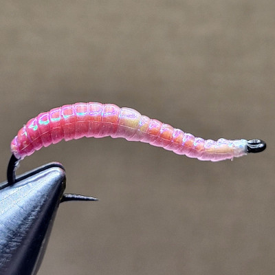 Vladi Worm Glajcha no. 6