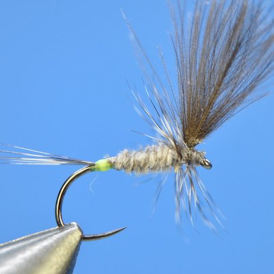 Dry Fly S67