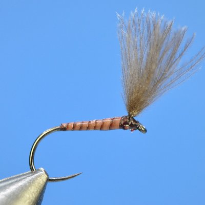 Dry Fly S74