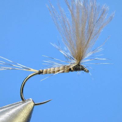 Dry Fly S82