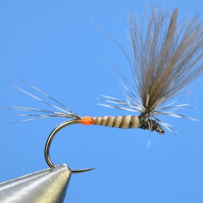 Dry Fly S84