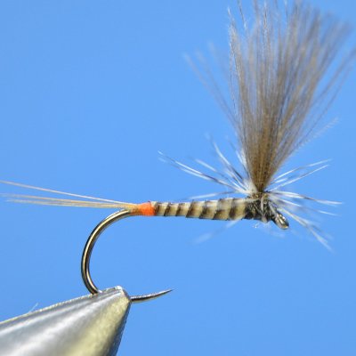 Dry Fly S87