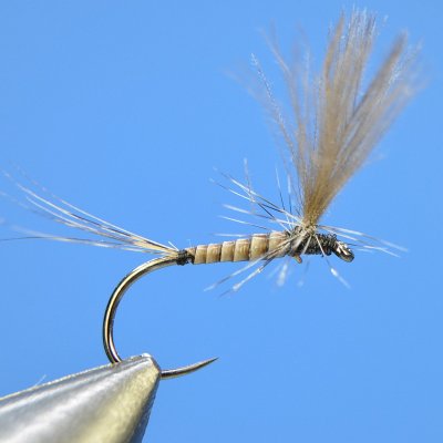 Dry Fly S89