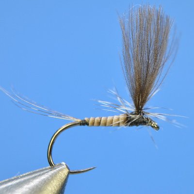 Dry Fly S91