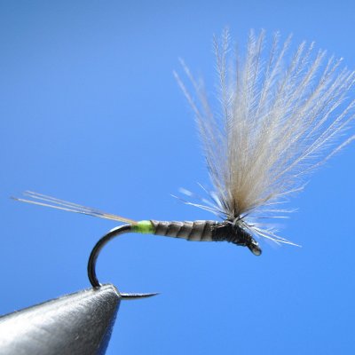 Dry Fly S111
