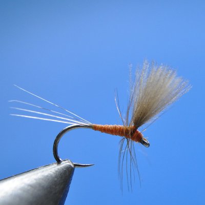 Dry Fly S114