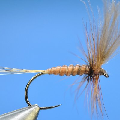 Dry Fly S10