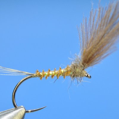 Dry Fly S16
