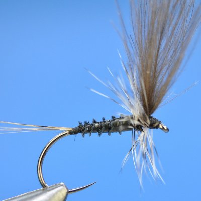 Dry fly S17